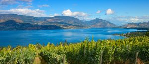 Lake Okanagan and Kelowna vineyards